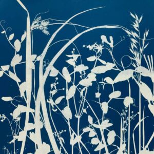 Logo for Bonnie O App Logo for Bonnie O App