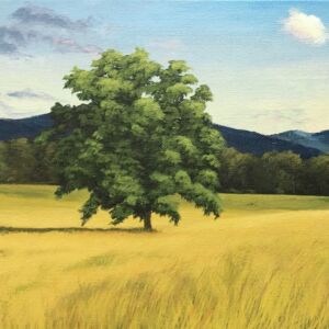 Logo for Jen O’Connell Logo for Jen O’Connell