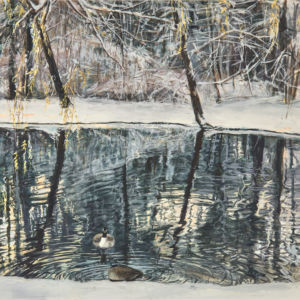 Logo for Julie DiSiena Logo for Julie DiSiena