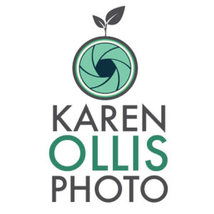 Logo for 2164032396 Karen Ollis Logo for 2164032396 Karen Ollis