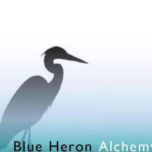 Logo for Kelly Stamblesky Logo for Kelly Stamblesky