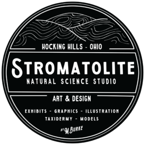 Logo for Maria Burke Logo for Maria Burke