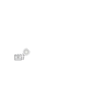 Logo for Pam DeCamp Logo for Pam DeCamp