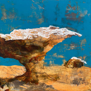 Logo for Susan Snipes Logo for Susan Snipes