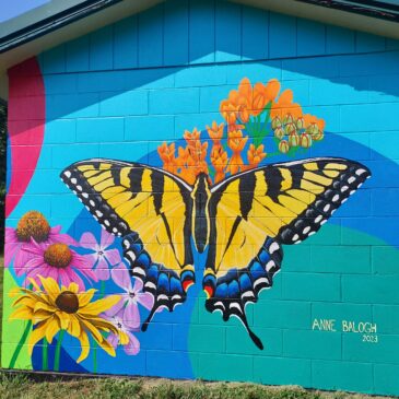 Anne Balogh Murals
