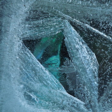 NEW SERIES: Ice: 2024-2025