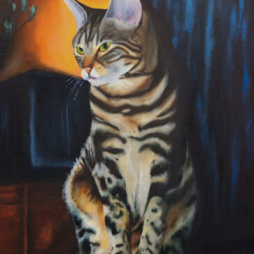 Bob Pittenger Portfolio